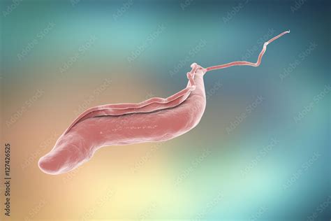  Trypanosoma: Um Parasita Microscópico que Causa Dores de Cabeça e Pode Ser Contraído Através do Contato com Insetos Infectados!